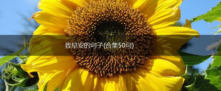 致早安的句子(合集50句),第1张