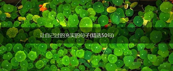 让自己过的充实的句子(精选50句),第1张