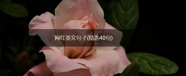 网红英文句子(精选40句),第1张