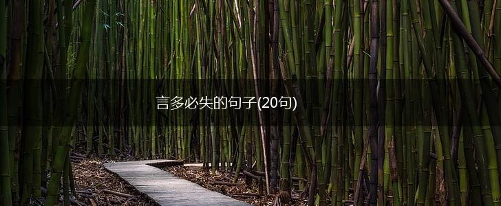 言多必失的句子(20句),第1张