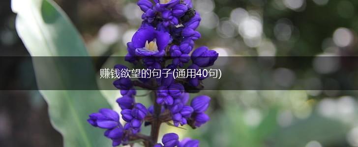 赚钱欲望的句子(通用40句),第1张