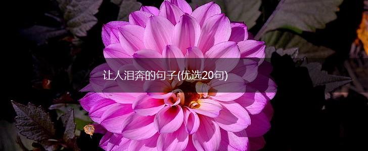 让人泪奔的句子(优选20句),第1张