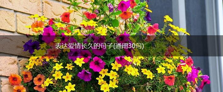 表达爱情长久的句子(通用30句),第1张