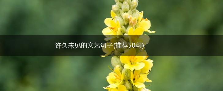 许久未见的文艺句子(推荐50句),第1张