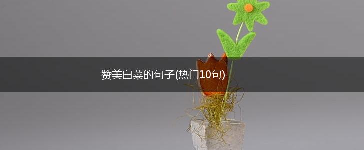 赞美白菜的句子(热门10句),第1张