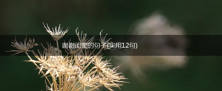 谢谢闺蜜的句子(实用12句),第1张