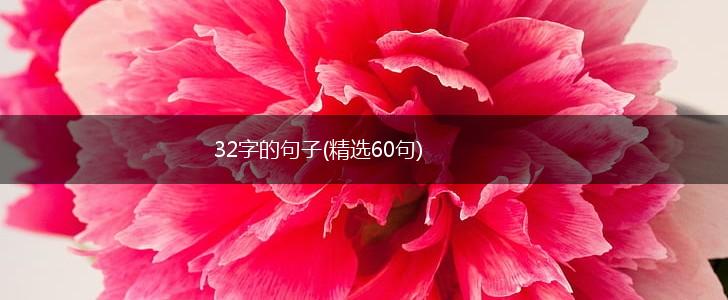 32字的句子(精选60句),第1张