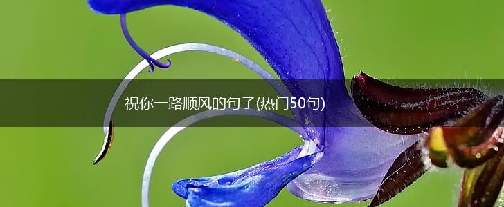 祝你一路顺风的句子(热门50句),第1张