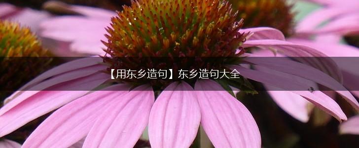 【用东乡造句】东乡造句大全,第1张