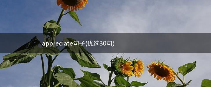 appreciate句子(优选30句),第1张