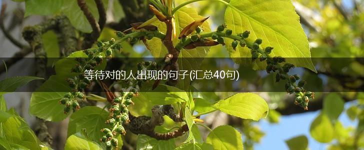 等待对的人出现的句子(汇总40句),第1张