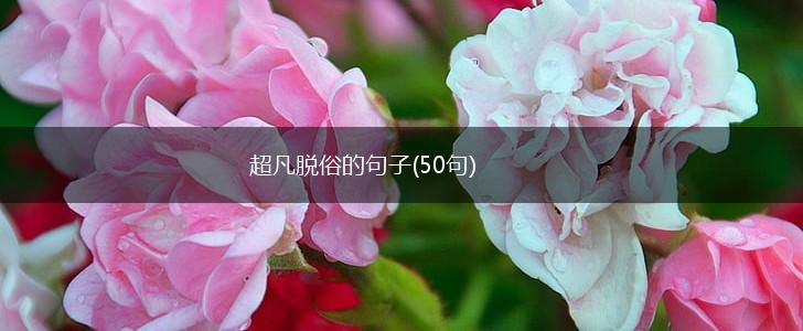 超凡脱俗的句子(50句),第1张