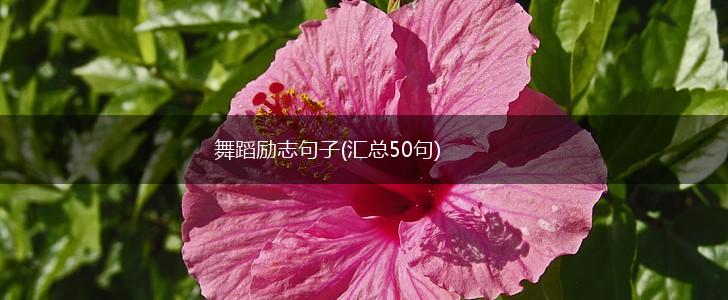 舞蹈励志句子(汇总50句),第1张