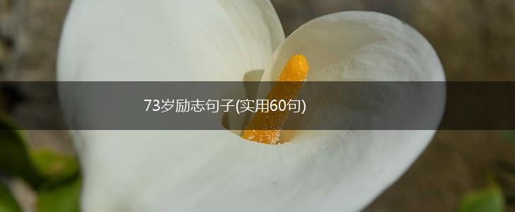 73岁励志句子(实用60句),第1张
