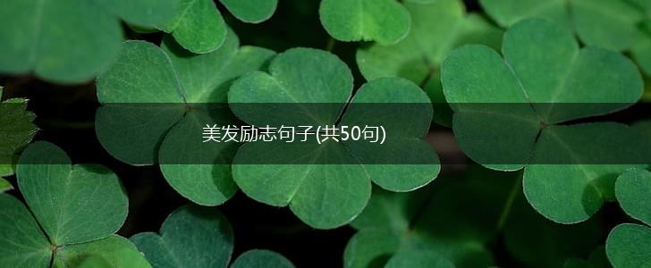美发励志句子(共50句),第1张