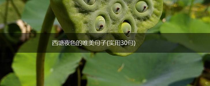 西塘夜色的唯美句子(实用30句),第1张