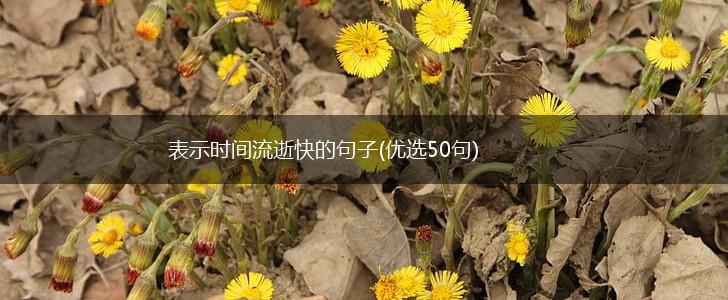 表示时间流逝快的句子(优选50句),第1张