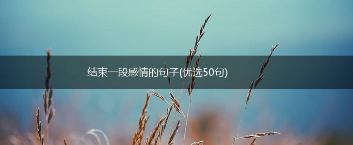 结束一段感情的句子(优选50句),第1张