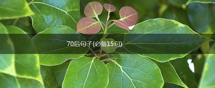 70后句子(必备15句),第1张