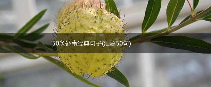 50条处事经典句子(汇总50句),第1张