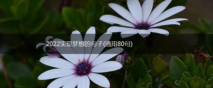 2022实现梦想的句子(通用80句),第1张