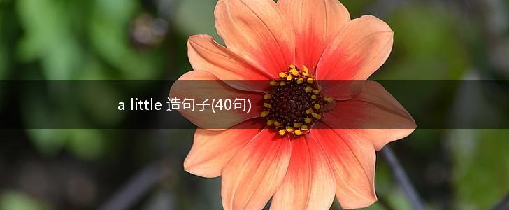 a little 造句子(40句),第1张