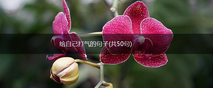 给自己打气的句子(共50句),第1张