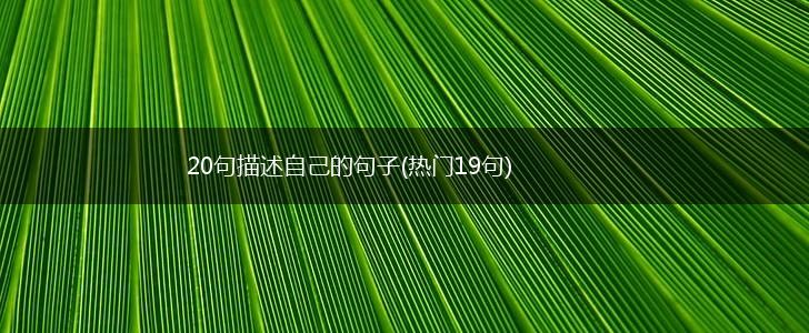 20句描述自己的句子(热门19句),第1张