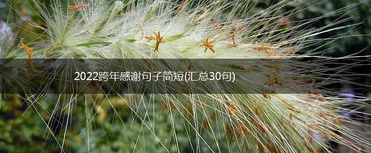2022跨年感谢句子简短(汇总30句),第1张