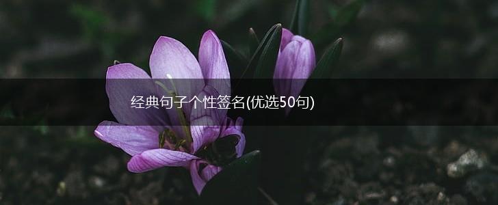 经典句子个性签名(优选50句),第1张