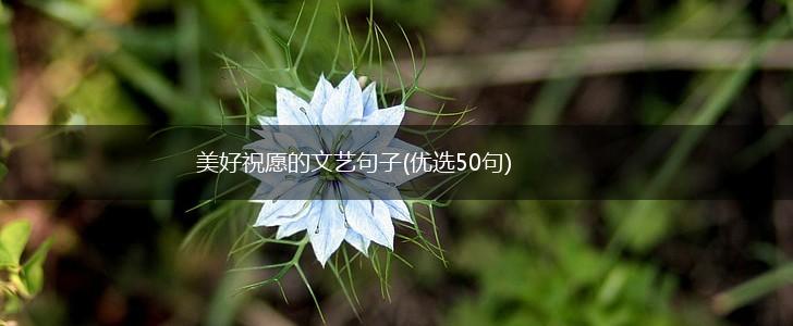 美好祝愿的文艺句子(优选50句),第1张