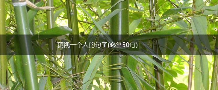 藐视一个人的句子(必备50句),第1张