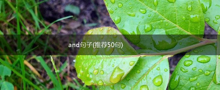 and句子(推荐50句),第1张