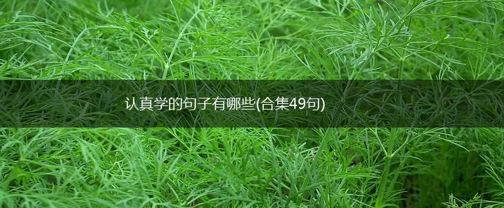 认真学的句子有哪些(合集49句),第1张