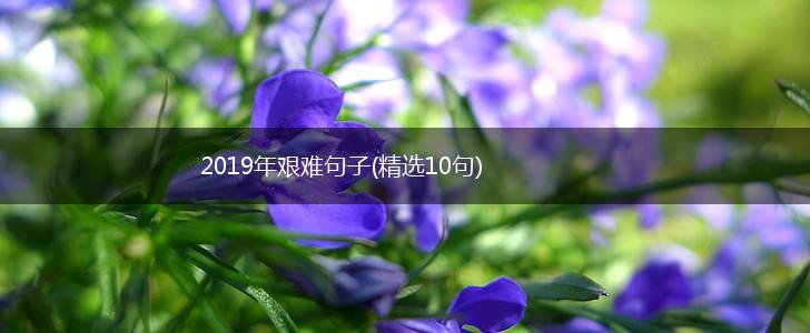 2019年艰难句子(精选10句),第1张