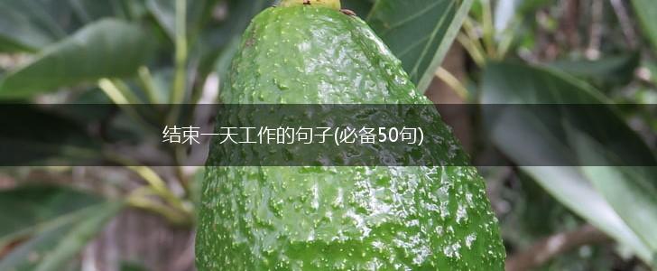 结束一天工作的句子(必备50句),第1张