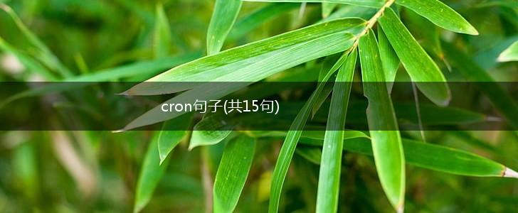 cron句子(共15句),第1张