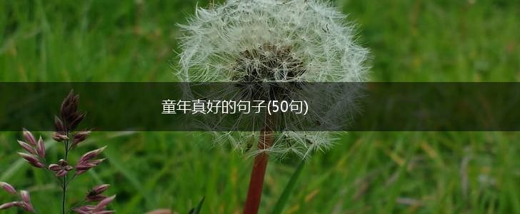 童年真好的句子(50句),第1张