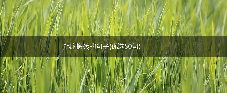 起床搬砖的句子(优选50句),第1张