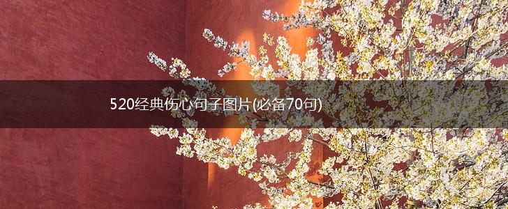 520经典伤心句子图片(必备70句),第1张