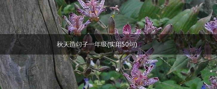 秋天造句子一年级(实用50句),第1张