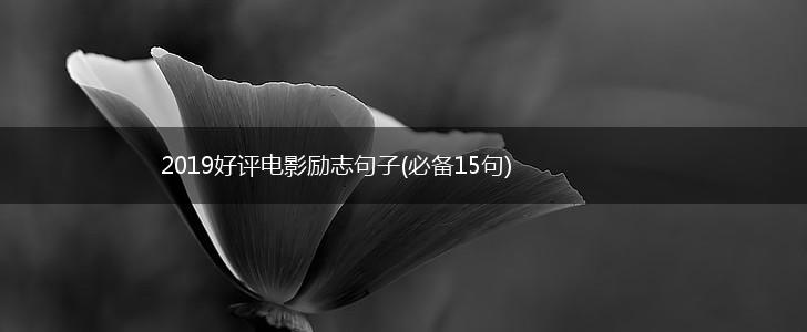 2019好评电影励志句子(必备15句),第1张