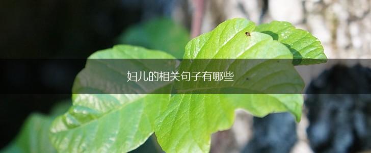 妇儿的相关句子有哪些,第1张