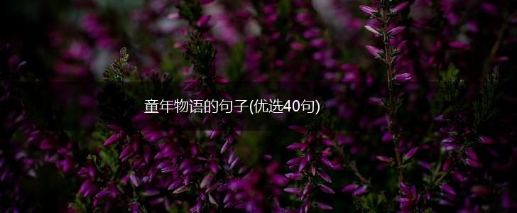 童年物语的句子(优选40句),第1张