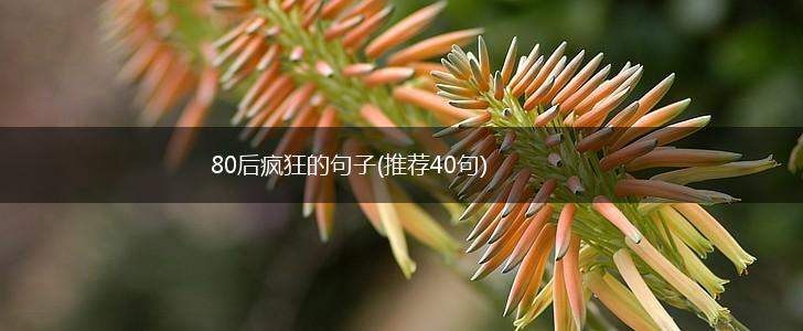 80后疯狂的句子(推荐40句),第1张