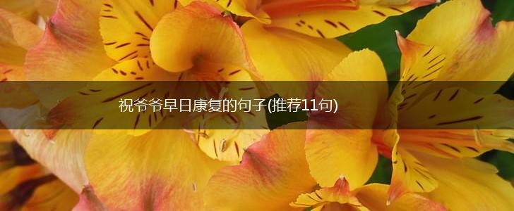 祝爷爷早日康复的句子(推荐11句),第1张