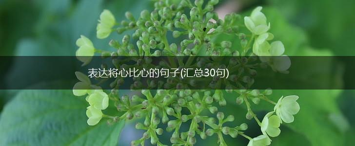 表达将心比心的句子(汇总30句),第1张