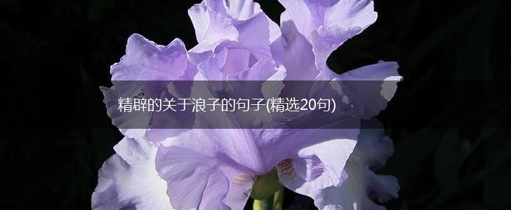 精辟的关于浪子的句子(精选20句),第1张