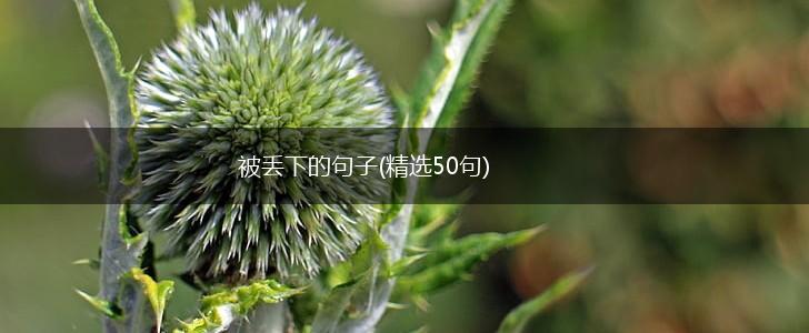 被丢下的句子(精选50句),第1张