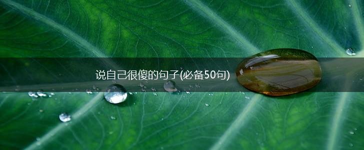 说自己很傻的句子(必备50句),第1张